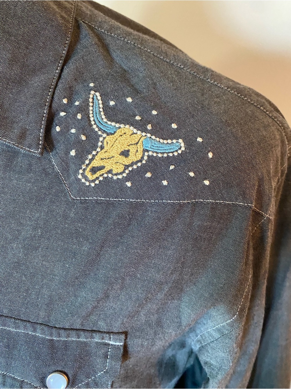Rare Howler Brothers Gaucho Desert Paranormal UFO Snapshirt Men’s Large - Picture 5 of 9